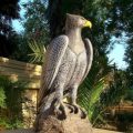 Eagle Crest Executive Lodge
