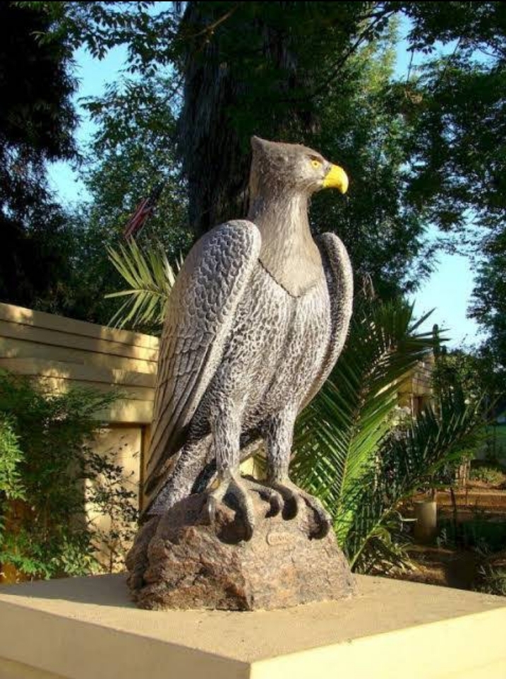 Eagle Crest Executive Lodge in Edenvale, South Africa