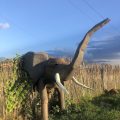 Elephant Lodge