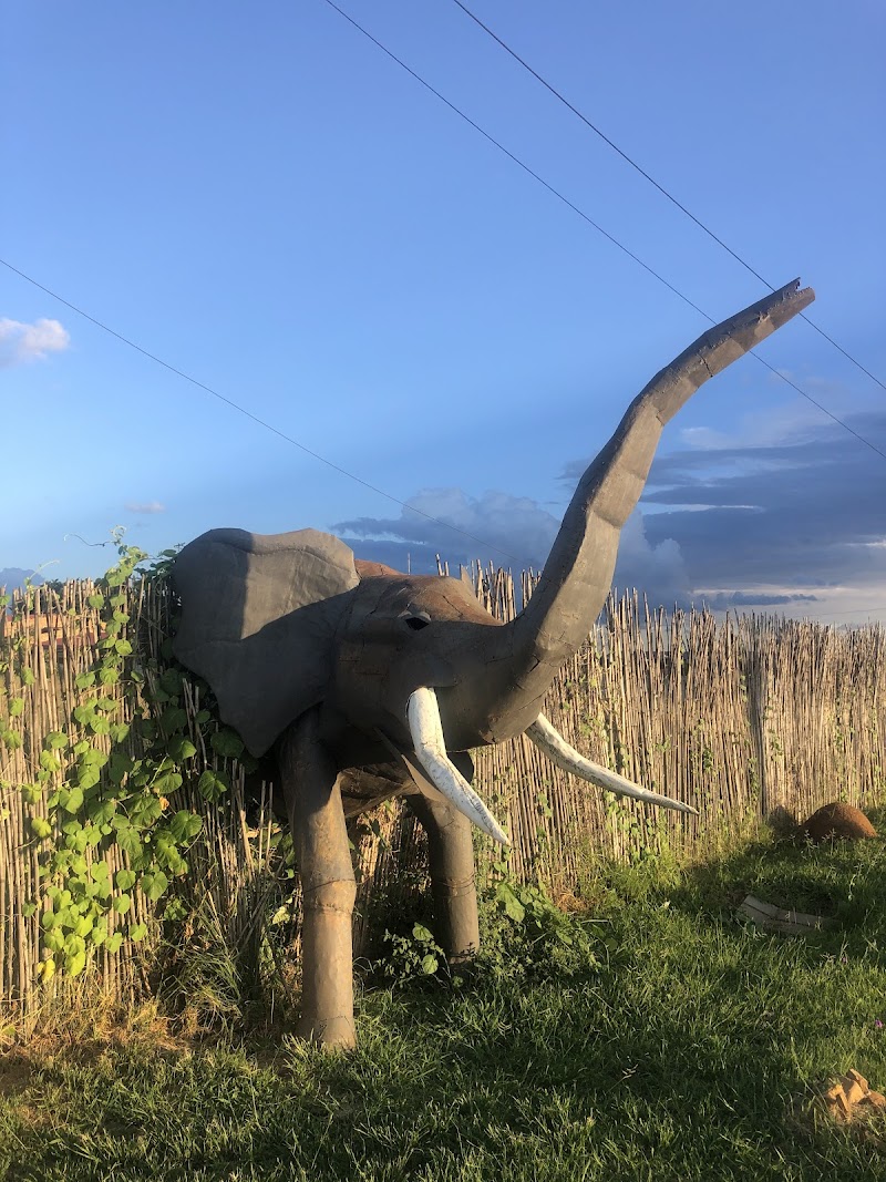 Elephant Lodge in Vanderbijlpark, South Africa