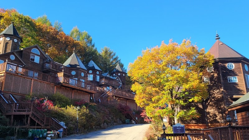 Elf Spa Resort Hotel in P'yongch'ang, Korea, South