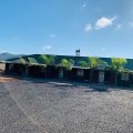 Evergreen Guesthouse
