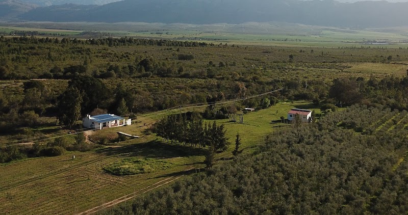Fraaigelegen Farm in Tulbagh, South Africa