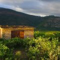 Fundudzi Cultural Camp