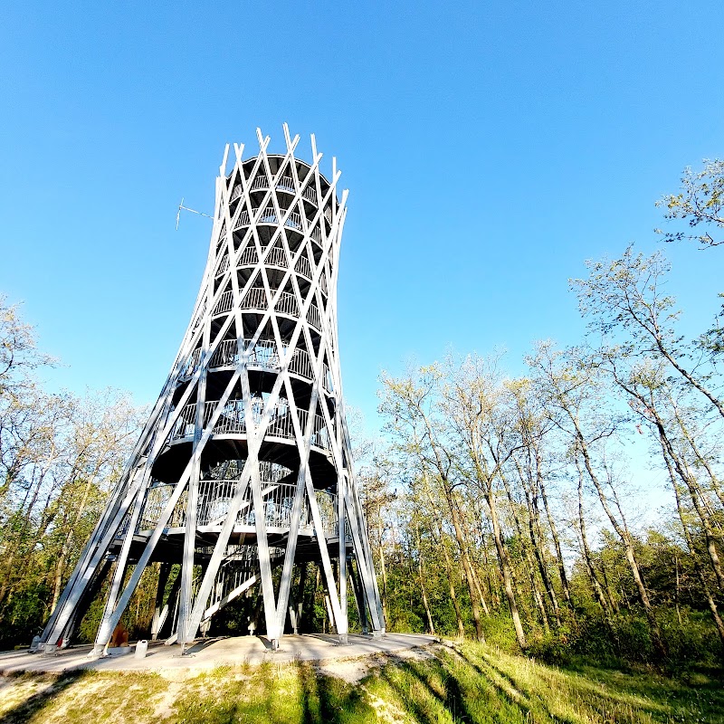 Gizella Pince in Veszprem, Hungary