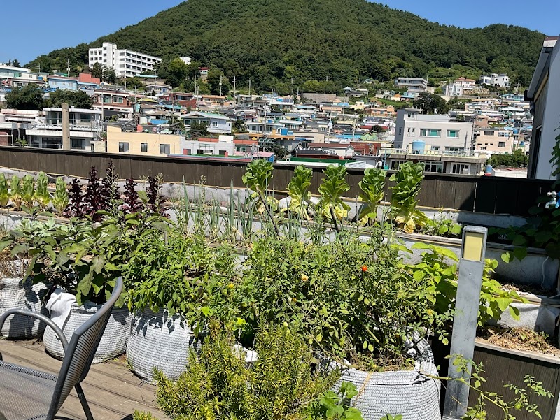 Grim Garden Guest House in Yeosu, Korea, South