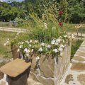 Guest House Bandera