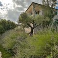 Guest House Casa Matiki