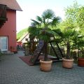 Guest House Neco