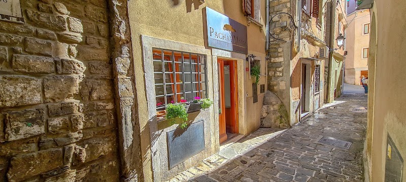 Guest House PachaMama Pleasant Stay in Piran, Slovenia