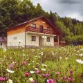 Guesthouse Floare de Colt