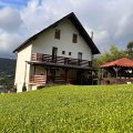 Guesthouse Viorica
