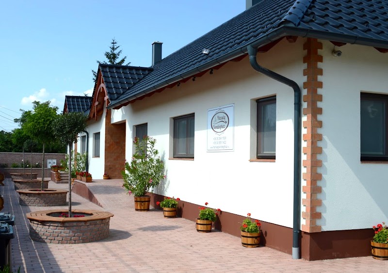 Hanság Hotel in Kapuvar, Hungary