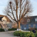 Holberggård Apartments