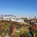 Holiday Inn Express Suwon Ingye