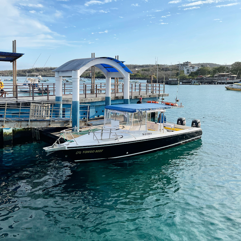 Hostal Tongo Reef in Puerto Baquerizo Moreno, Ecuador