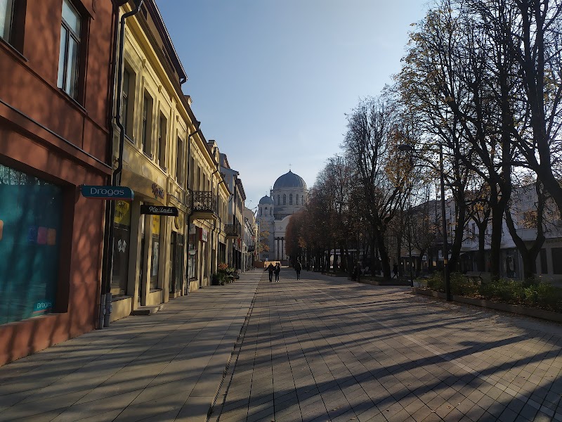 Hostel Lux in Kaunas, Lithuania