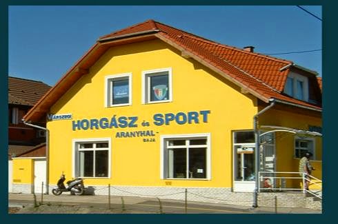 Hotel Aranyhal in Baja, Hungary