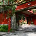 Hotel Arbol de Fuego