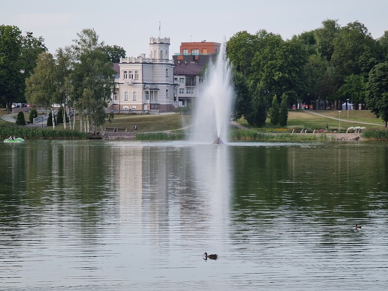 Hotel Broliu Vila in Druskininkai, Lithuania