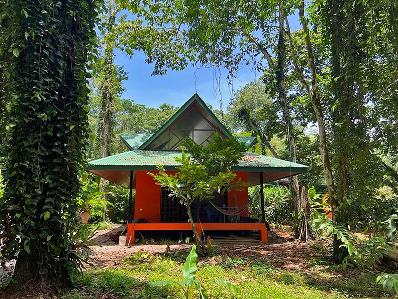 Hotel Cacao Diamond in Puerto Limon, Costa Rica