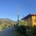 Hotel Cacao Río Celeste