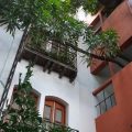 Hotel Casa del Arbol
