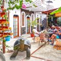 Hotel Coloma Galapagos