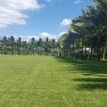 Hotel Don Renno