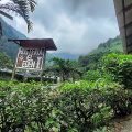 Hotel El Edén
