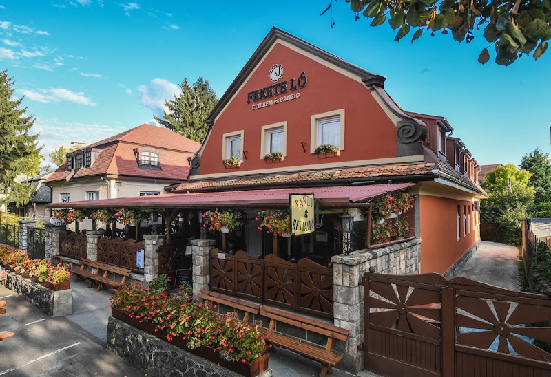 Hotel Fekete Holló in Eger, Hungary
