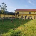 Hotel Geas IV