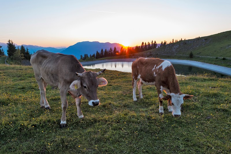 Hotel Golte in Mozirje, Slovenia