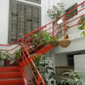 Hotel Hojarascas