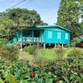 Hotel Kasha