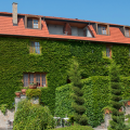Hotel Kis Helikon
