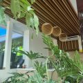 Hotel Las Cascadas