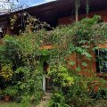 Hotel Las Gardenias