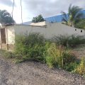 Hotel Las Palmeras