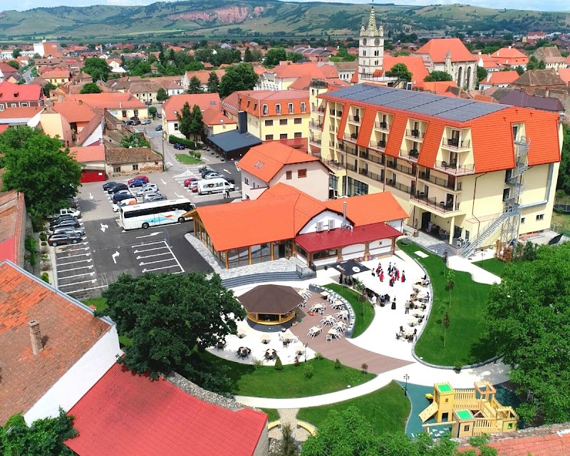 Hotel Leul de Aur in Sebes, Romania