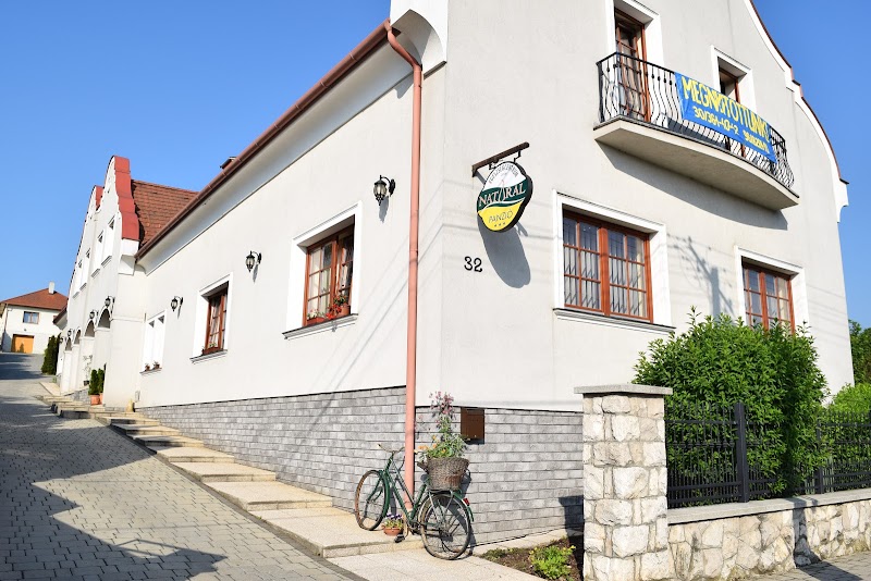 Hotel Natural Panzió in Gyor, Hungary