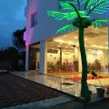 Hotel Nelly Marine