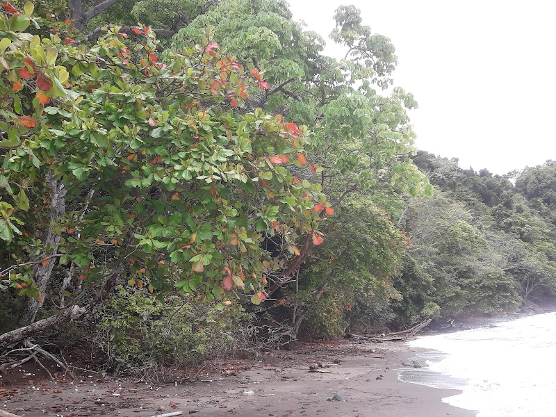 Hotel Nine in Jaco, Costa Rica