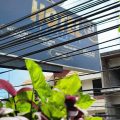 Hotel Ocotepeque