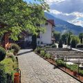 Hotel Paltinis