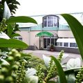 Hotel Panorama