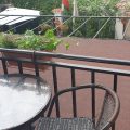 Hotel Paris