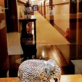Hotel Prime Changwon