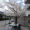 Hotel Quo Vadis