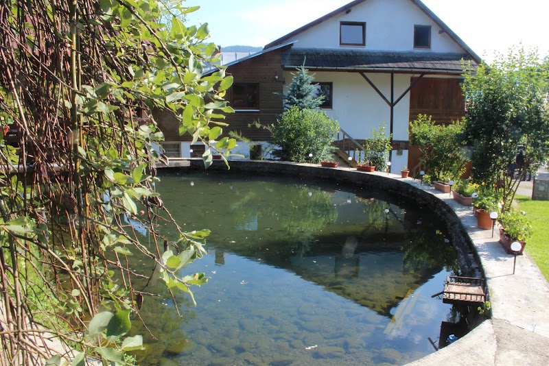 Hotel Rustic in Viseu de Sus, Romania